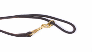 Alternative view of Traditionele hondenriem