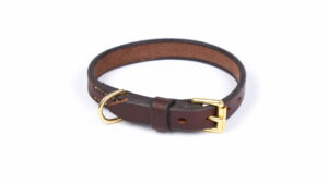 Traditionele Halsband